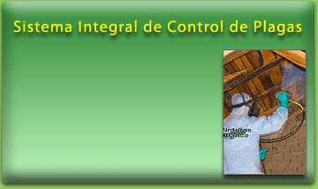 Sistema Integral de Control de Plagas Pinturas Blanco